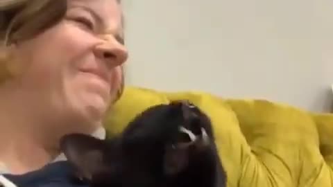 Funny cat sneeze badly on his owner