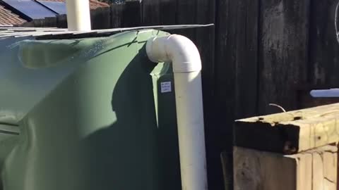 Rain water tank basic install, going off grid in the burbs.