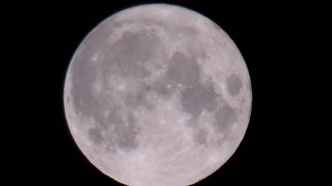 Full Moon 100%- Age: 50%- N. Hemisphere