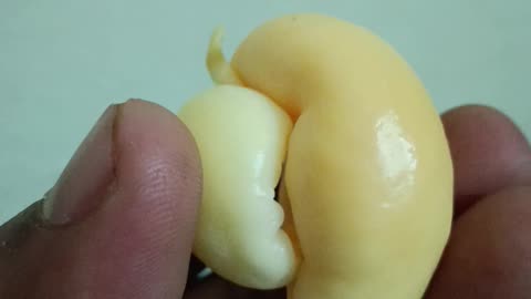 Something Amazing found inside Papaya