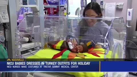 World's Cutest Turkeys: Hospital Makes Special Outfits For Babies