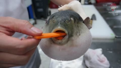 Puffer fish got choke