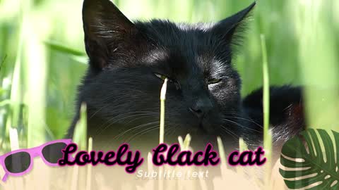 Here are the most beautiful black