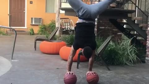 Guy handstand basketball chihuahua balance