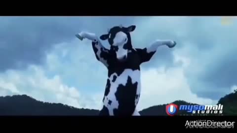 Cow vs man idiot fighting