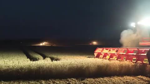 Claas Lexion 770 TT Combine Harvester and J&M Grain Cart _ Wheat Harvest