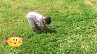 Kids Learn About Fennel and Herbs