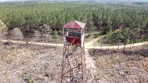 Wallace Fire Tower