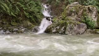 Relaxing Sound of a Mighty River