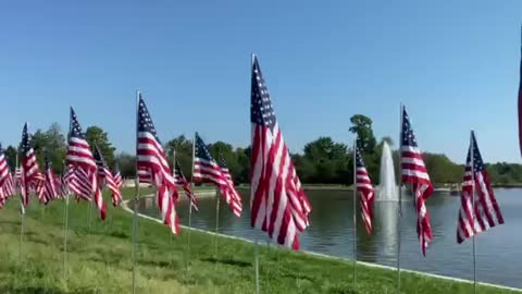 Flags of Valor display St. Louis