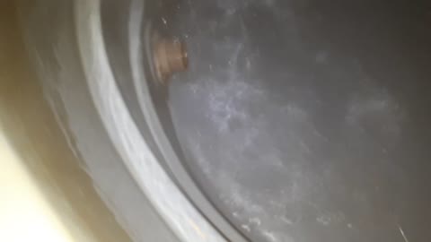 sanitized water tank