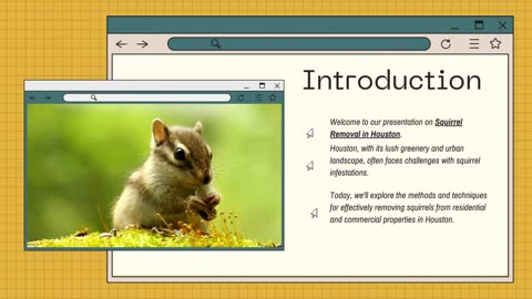 Solving Squirrel Intrusions in Houston: Effective Removal Strategies