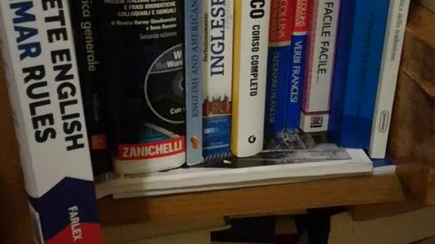 L'angolo della mia libreria dedicato alle lingue straniere (comuni e meno)