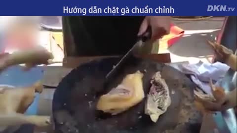 Hướng dẫn cách chặt gà chuẩn chỉnh cho những nàng dâu mới về nhà chồng!