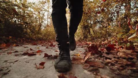 Low Angle View of a Person and White Dog Walking in a Forest