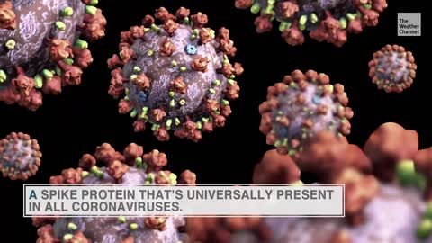 Super Vaccine: Scientists Invent New Vaccine that Can Fight All Forms of Coronaviruses