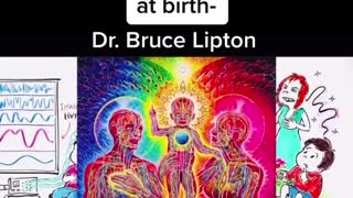How we are programmed at birth