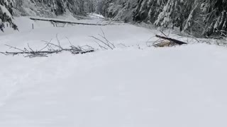 Highway Unrecognizable Due to Snow Conditions