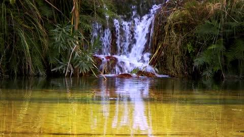 Waterfall In Green Nature 2 Bitti