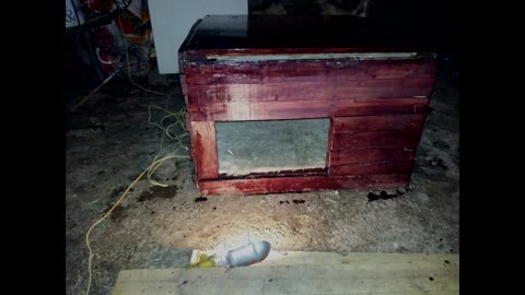 How to build a simple dog house using wood pallets