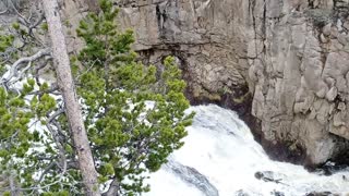 Gibbon Falls/ Yellowstone National Park