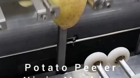 Potato Peeler Ninja Machine