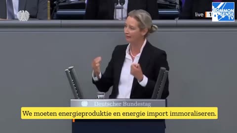 Speech Alice Weidel - Zeven problemen, zeven oplossingen!