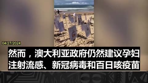 在澳洲德威海滩，“阵亡者森林”展示了疫苗死亡和伤害案例。