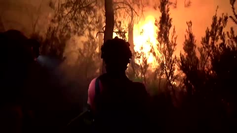 Spain's wildfires rage as heatwave peaks