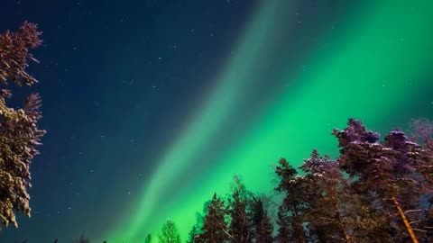 Stunning Aurora Borealis - Northern Polar Lights