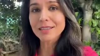 Tulsi Gabbard On Ukraine