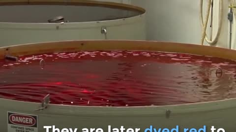 How Maraschino Cherries Are Made