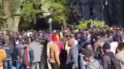 NYC City hall getting SWARMED from Illegals demanding better HOUSING!!