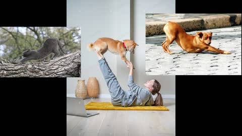 Doggie Doing Downward Facing Dog Yoga Pose w/his human Mommy + Mr. Kimberley: "Is this trash?"
