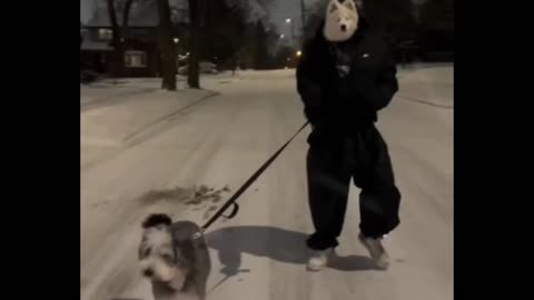Dawg Walking Dog 😅🐶👍