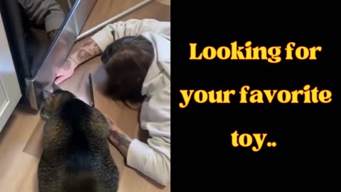 Let's look for your favorite toy!