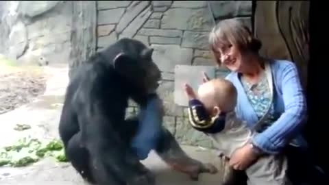 The monkey plays with the child in a strange way