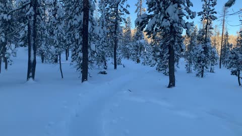 Quintessential Deschutes National Forest in Winter – Central Oregon – Swampy Lakes Sno-Park
