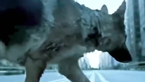 कुत्ता ने मालिक को खा लिया 😳😳 #shortvideo #reel #movietime #clip #movieclips #shortmovie #clipsong