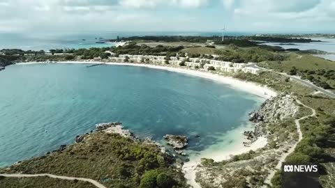 Rottnest accommodation booking system to get overhaul amid school holiday online frenzy