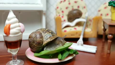 🐌 Snail videos for kids | Garden snail closeup at 2x speed