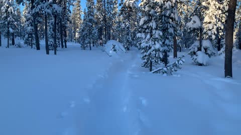 Deeper Than It Looks – Central Oregon – Swampy Lakes Sno-Park