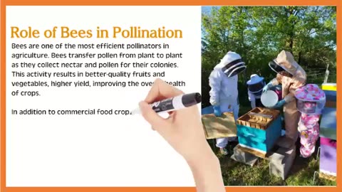 Importance of Bees in Agriculture