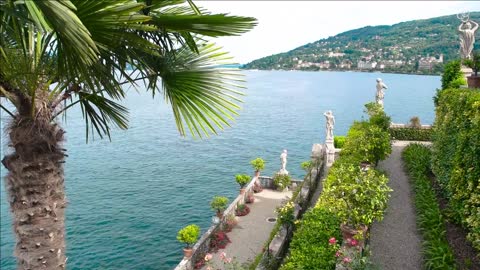 isola bella palm tree maggiore lake stresa and sky