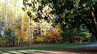 Vlog #2129 - Autumn Afternoon Oct. 22, 2022