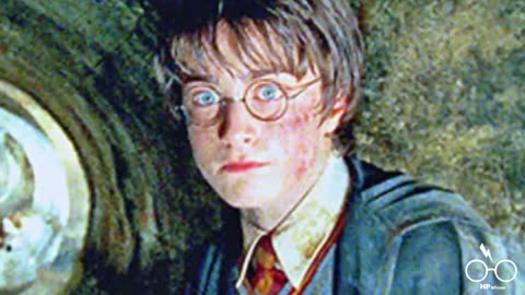 Was hätte Harry Potter als ein SLYTHERIN getan?