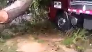 Árbol cayó sobre una turbo en la vía San Gil - Bucaramanga