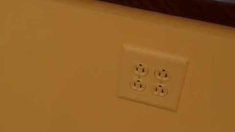 Plugged in! Home owner has endless array of wall outlets in one room