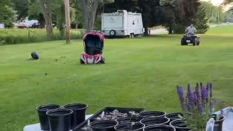 Man Tries to 'Punt' Toy Car and Rolls ATV