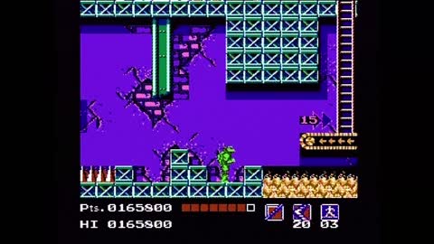 Teenage Mutant Ninja Turtles No-Death Playthrough (Actual NES Capture)